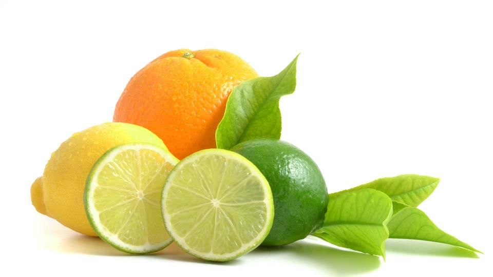 thealternativedaily.com