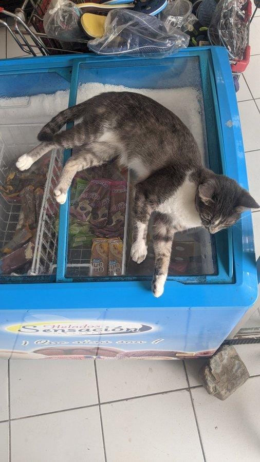 twitter.com/acmilan_eb