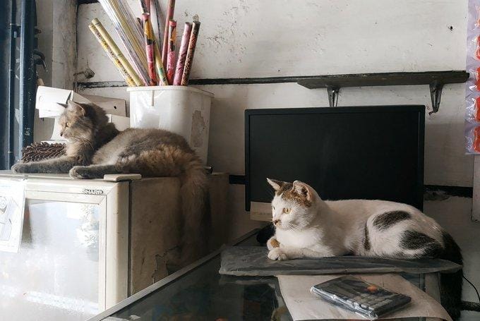 twitter.com/DanangP22627560