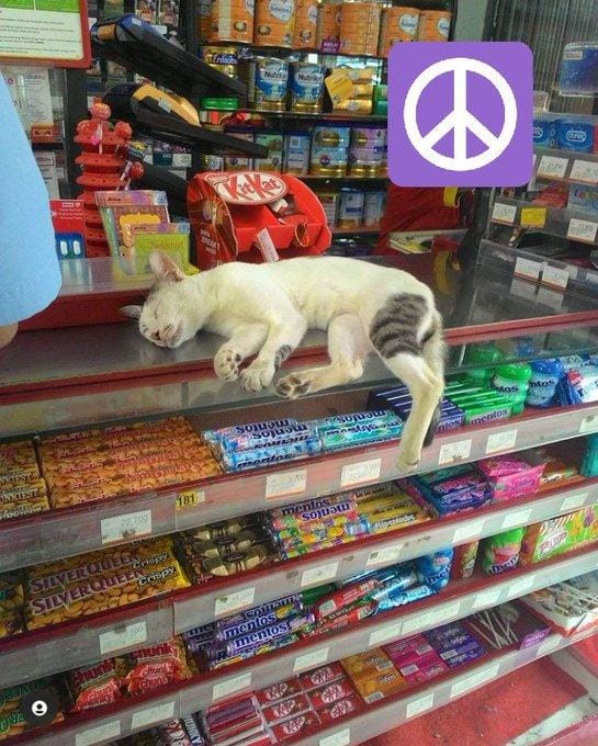 twitter.com/QurrotaAF