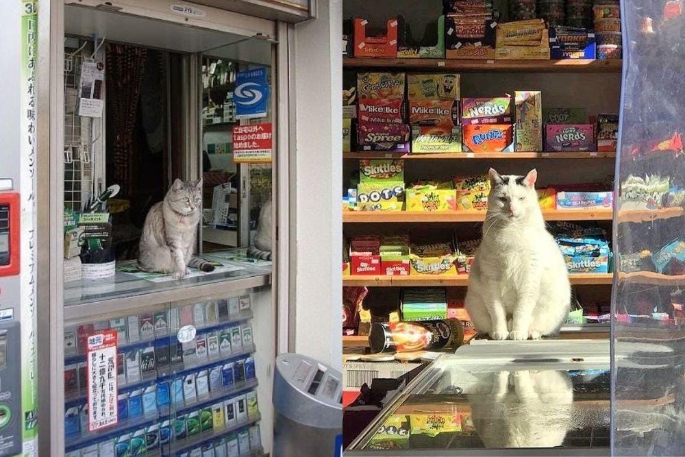 twitter.com/blestallure