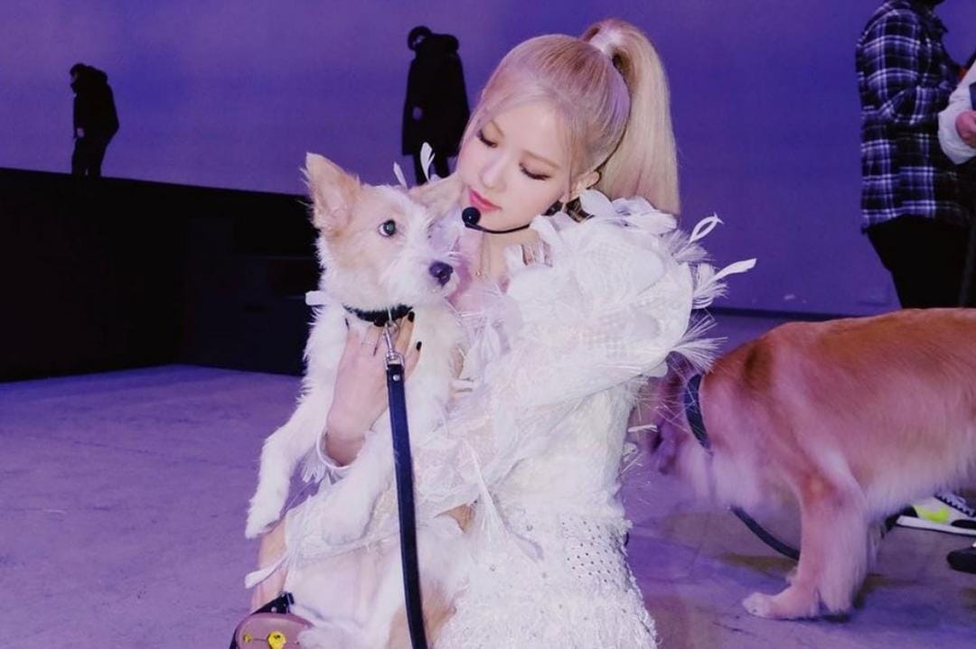 Super Imut! 9 Idol K-pop ini Lakukan Pemotretan bersama Peliharaan