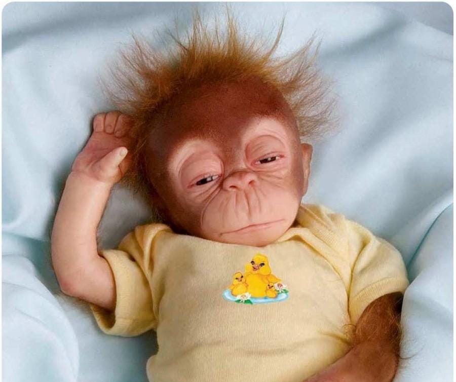 Travelfoodfashion.com