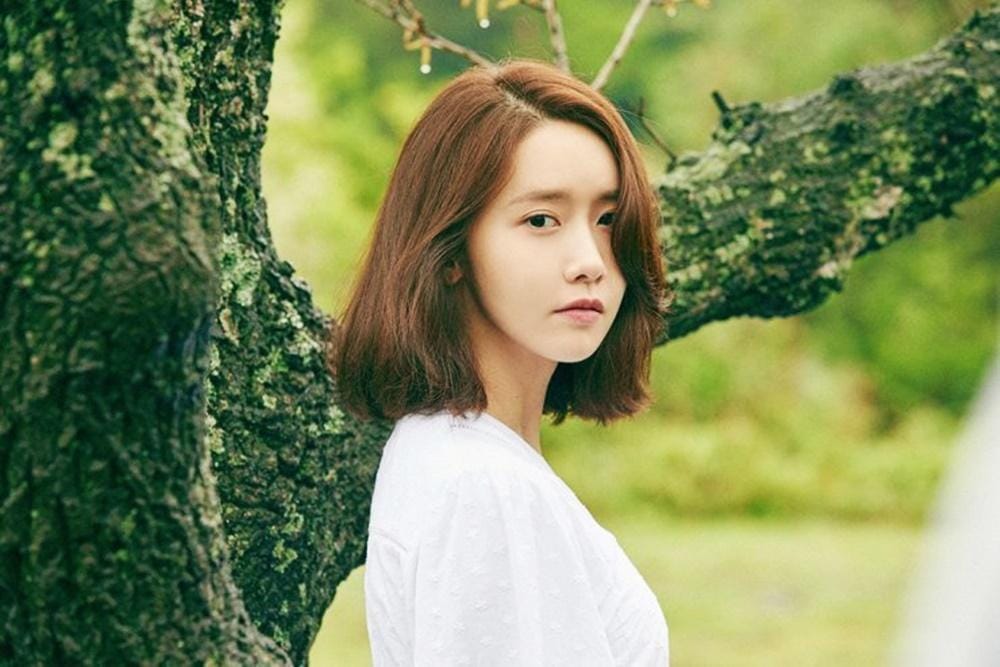 Hancinema.net