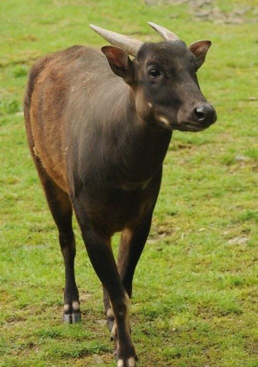 Pinterest.com/Lin Kerns