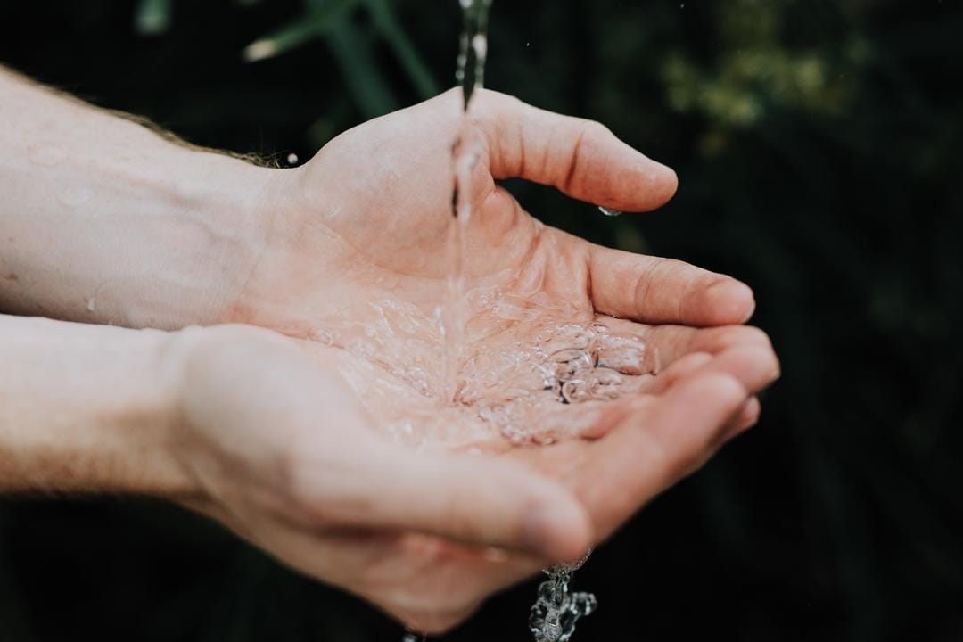 Unsplash.com/Austin Kehmeier