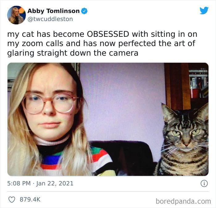 twitter.com/twcuddleston