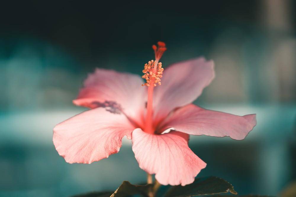 unsplash.com/JohnWilander