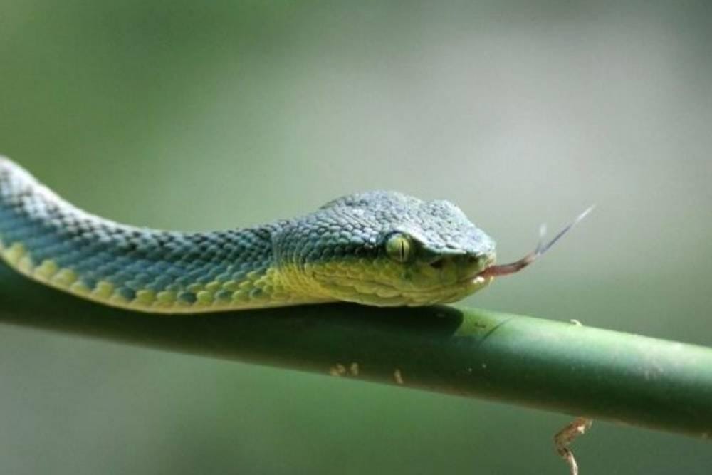 Unsplash/ravipatelravipatel