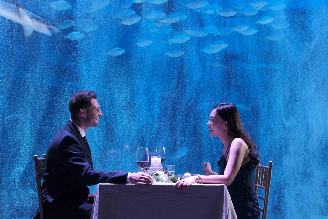 Rayakan Hari Jadi ke-4, Jakarta Aquarium & Safari Hadirkan 5 Hal Baru!