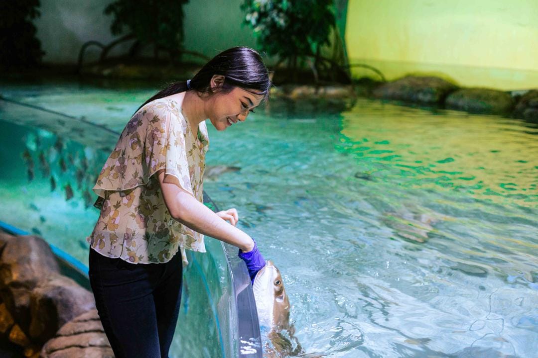 dok. Jakarta Aquarium & Safari