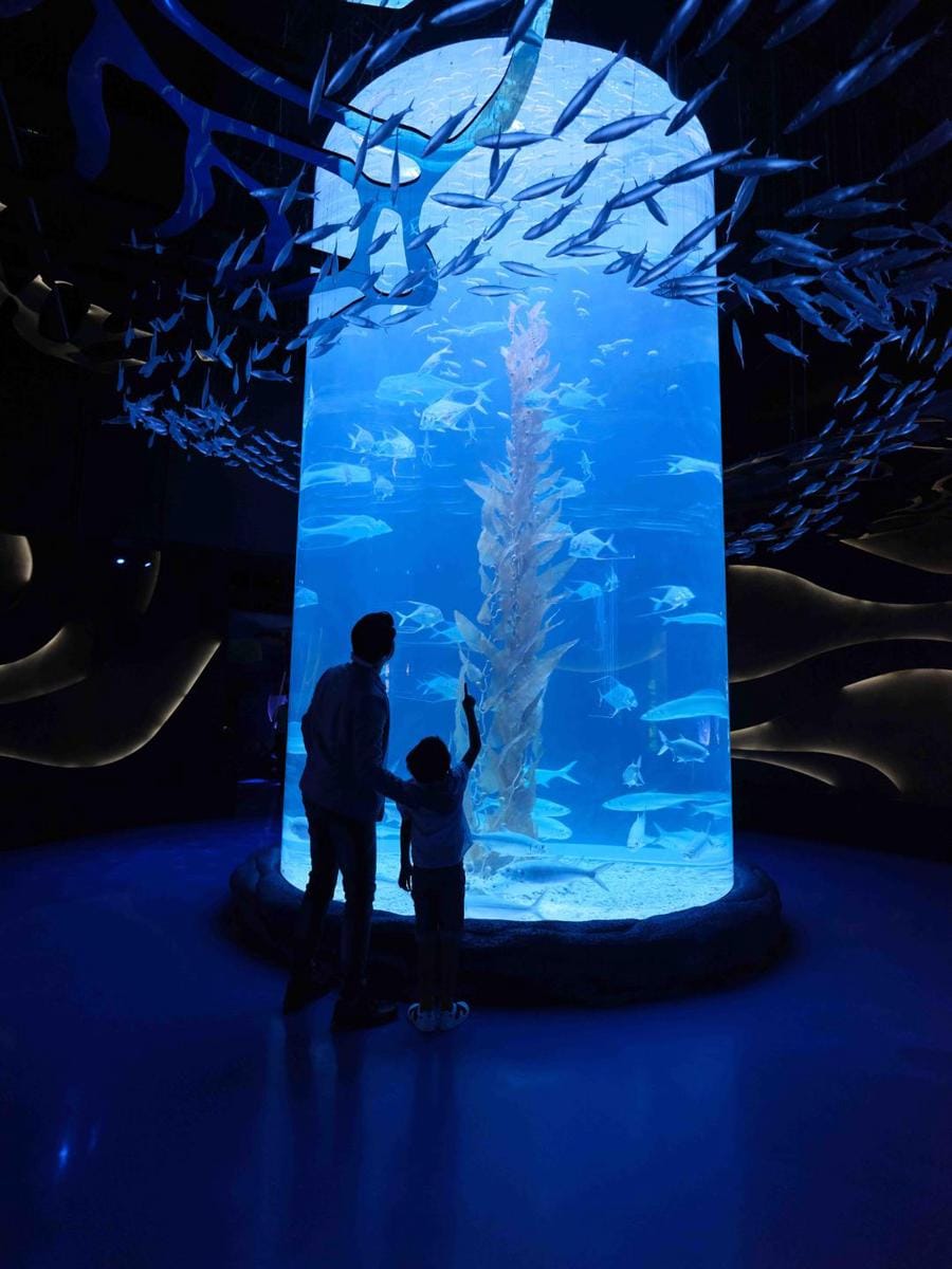 dok. Jakarta Aquarium & Safari