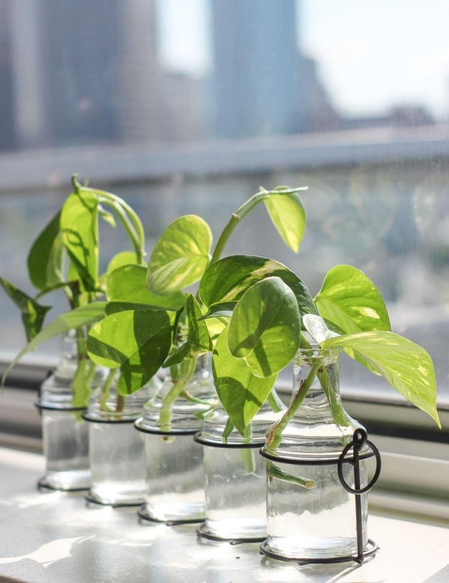 Cityofsisterlylove.com