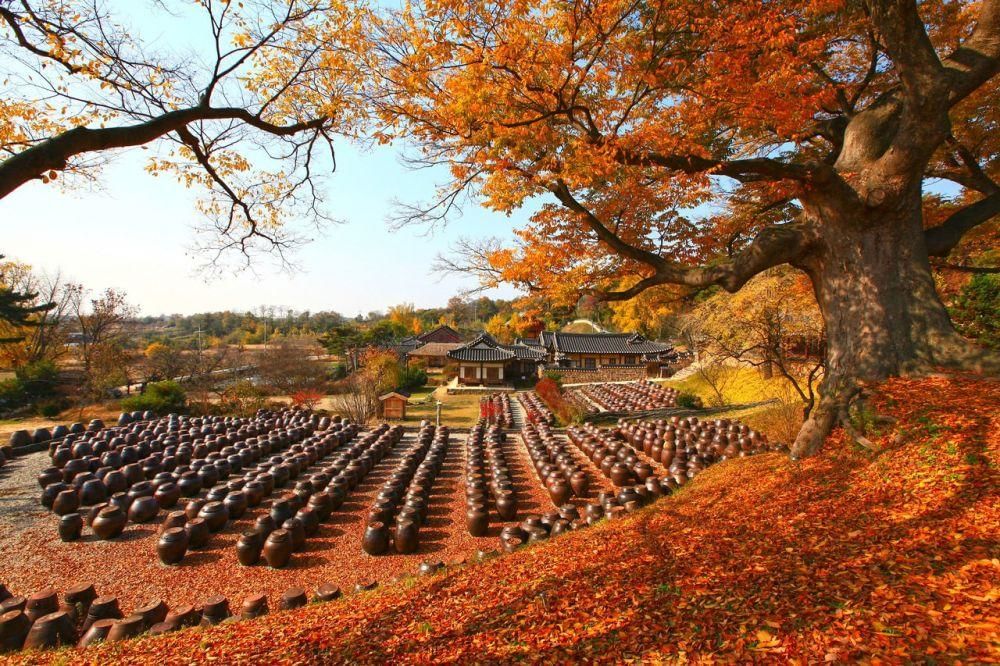 Twitter.com/koreantravel
