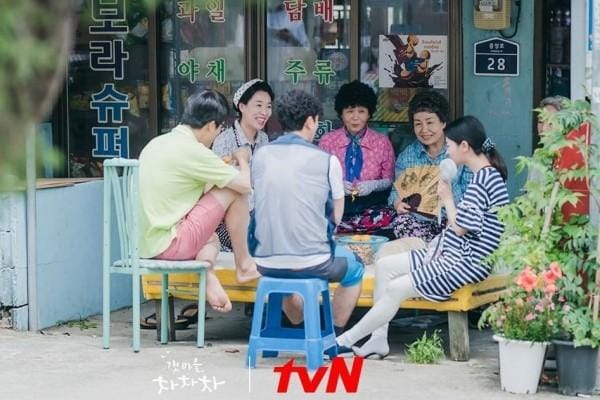 tvn.com