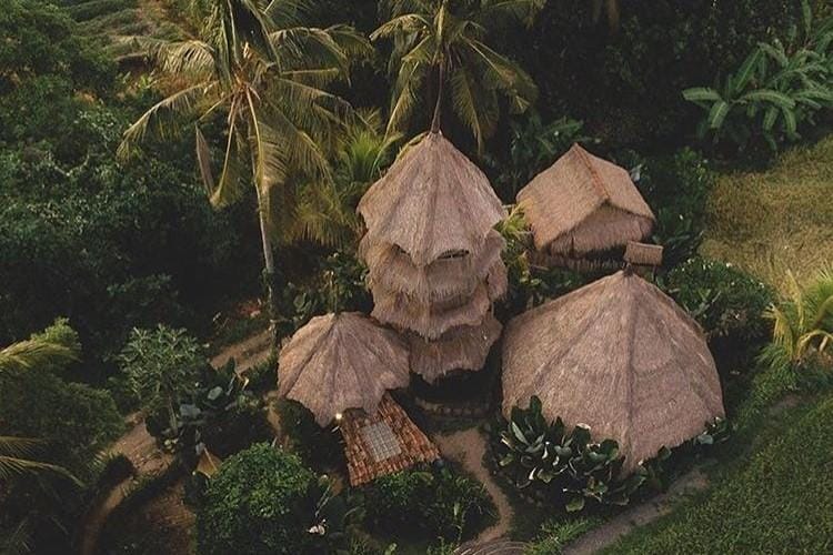 instagram.com/ dromanji