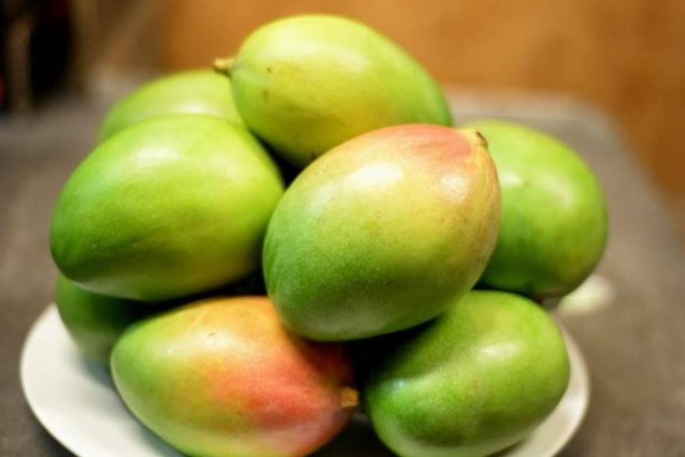 Pexels_Morris Lowery Jr