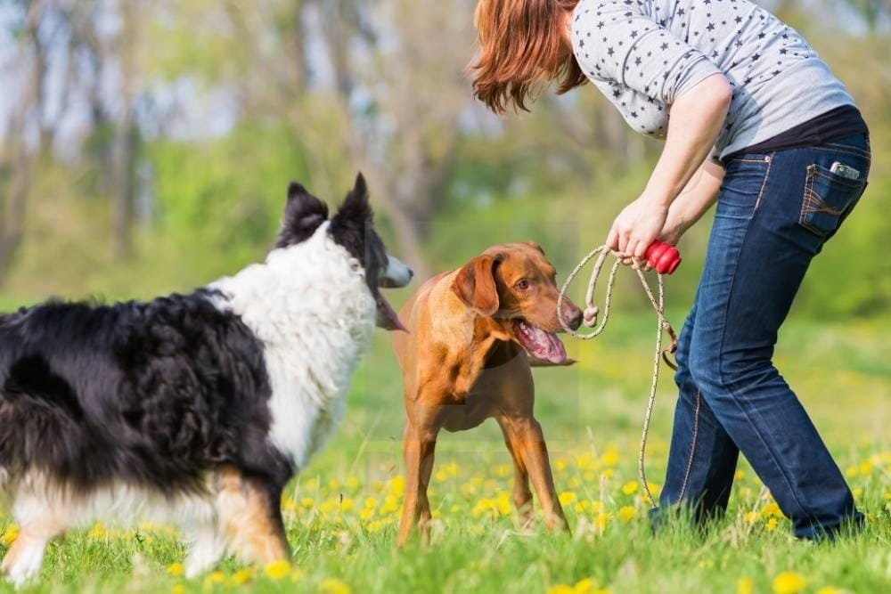 picfair/Christian Müller