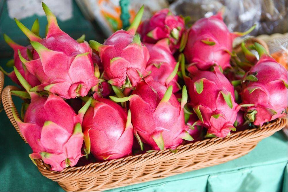 Manfaat Kulit Buah Naga Untuk Wajah/ freepik.com