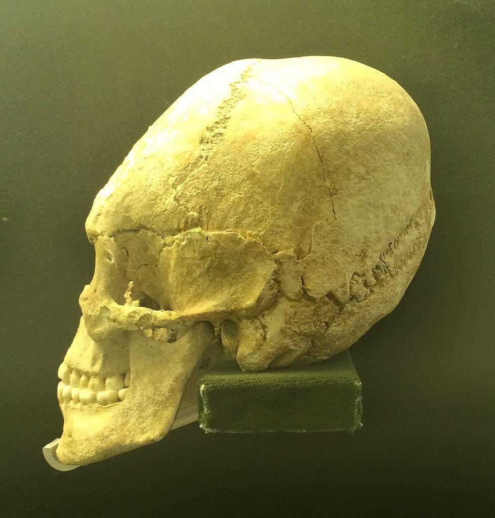 Commons.wikimedia.org/User: Bjoertvedt