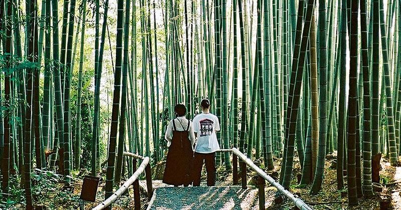 Unsplash.com/Akira Deng