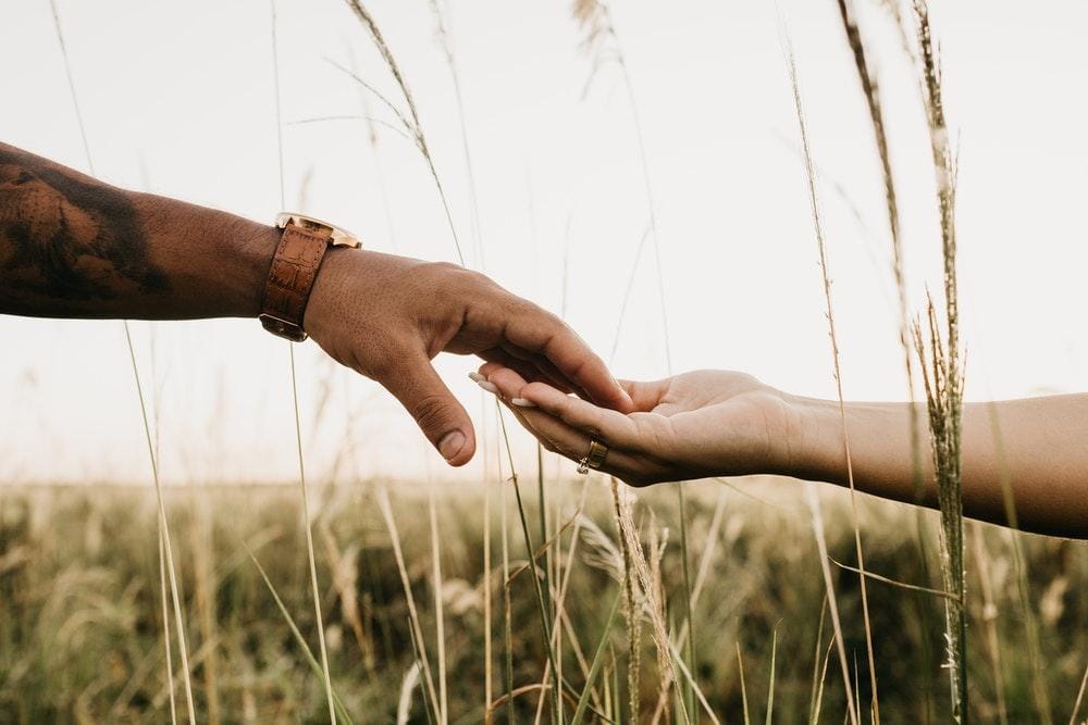 Pexels.com/Jonathan Borba