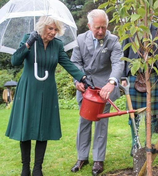 Instagram.com/clarencehouse