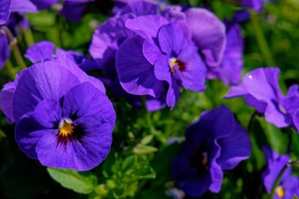 freepik.com/wirestock