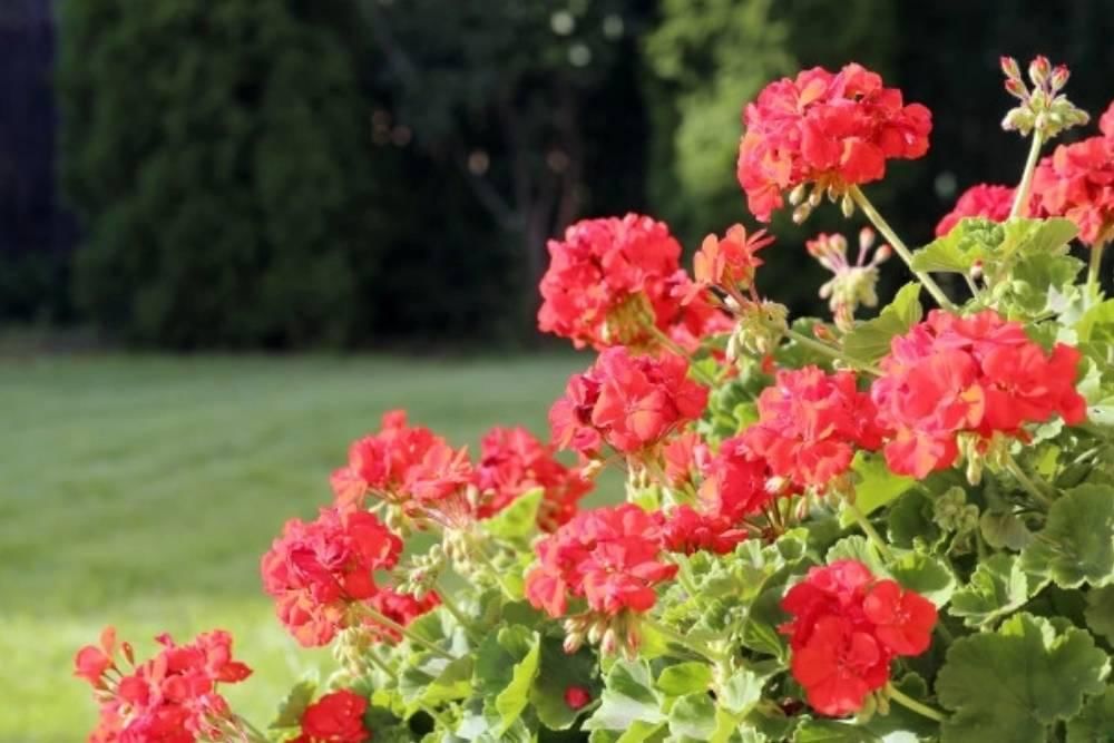 freepik.com/racool-studio