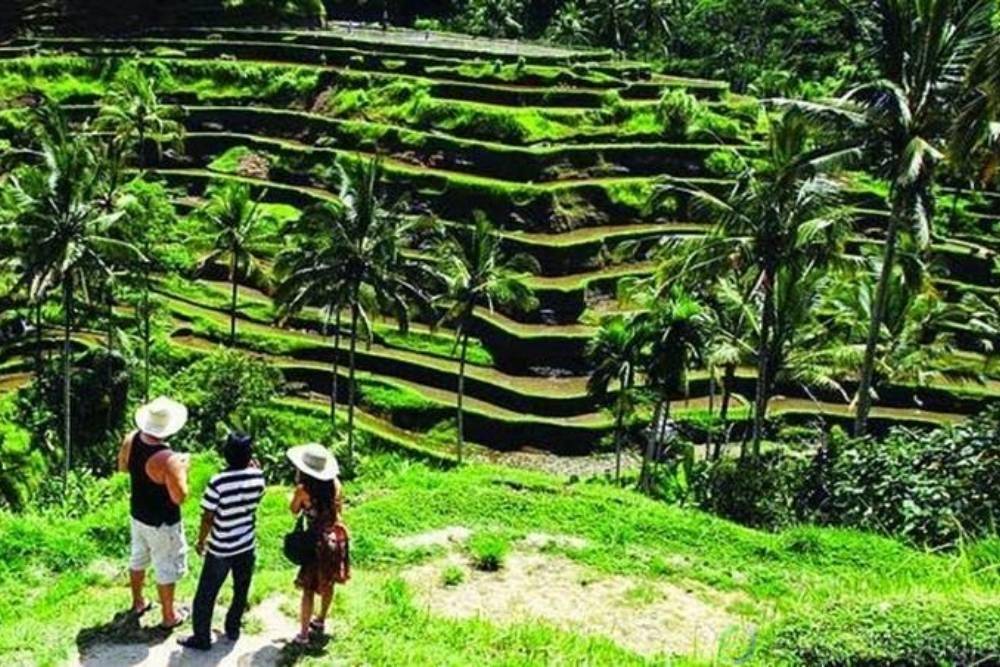 eksotisjogja.com
