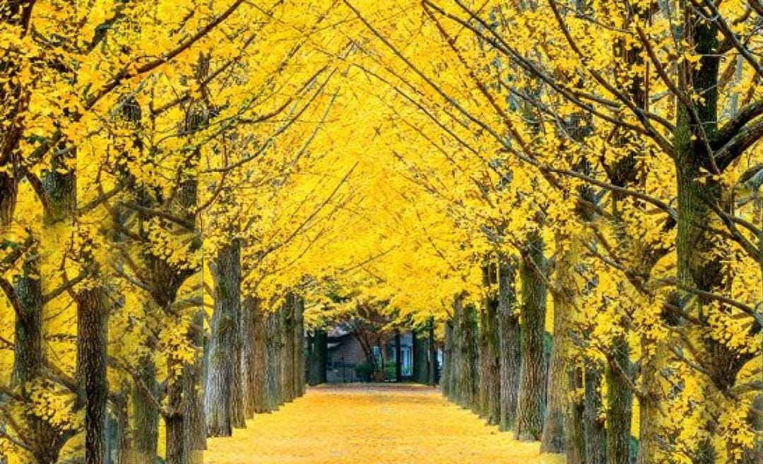 Dok. Jakarta Aquarium