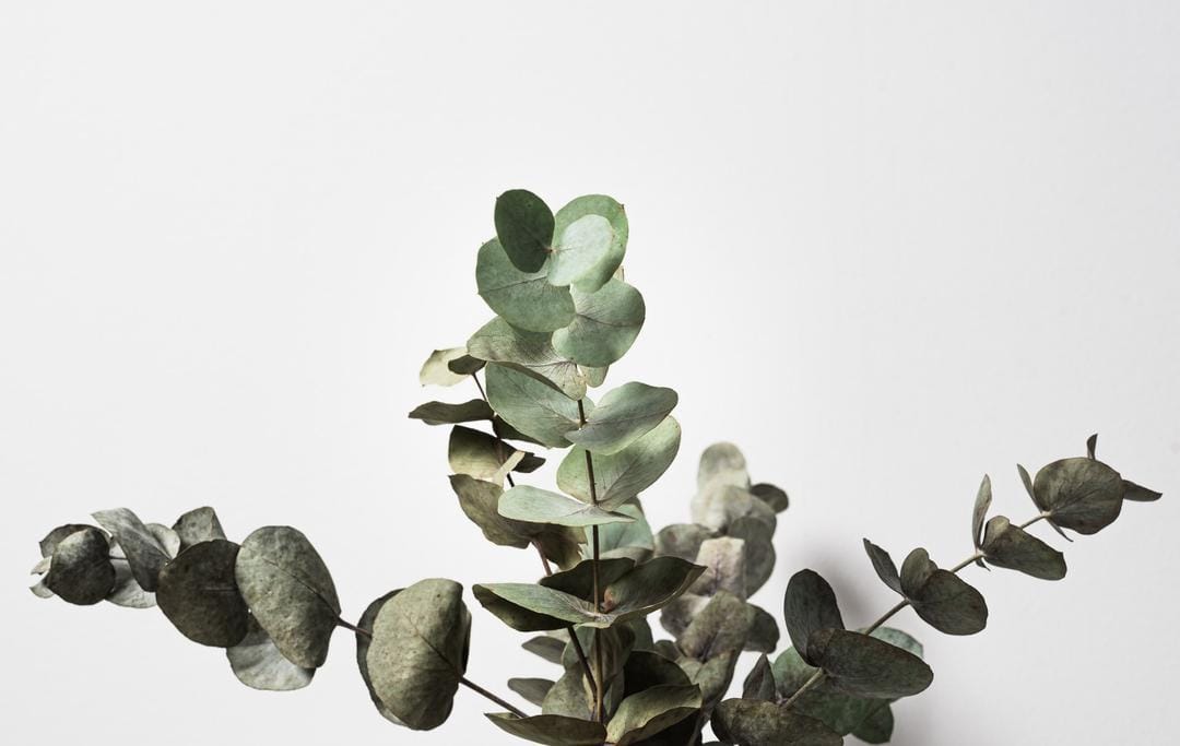 Unsplash.com/Oscar Helgstrand