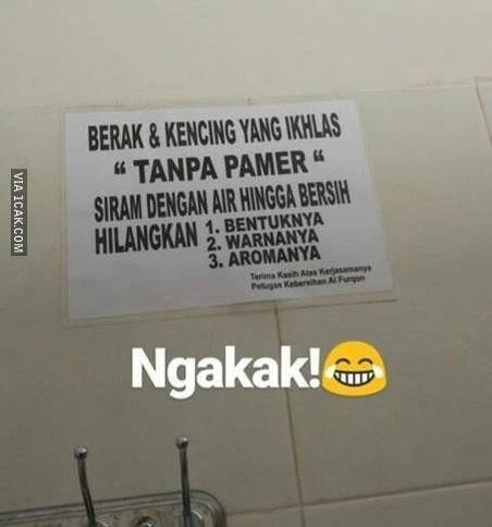 Instagram.com/androgalangs