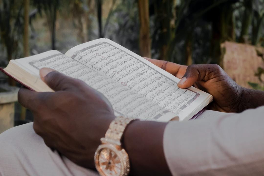 Pexels.com/Mukhtar Shuaib Mukhtar