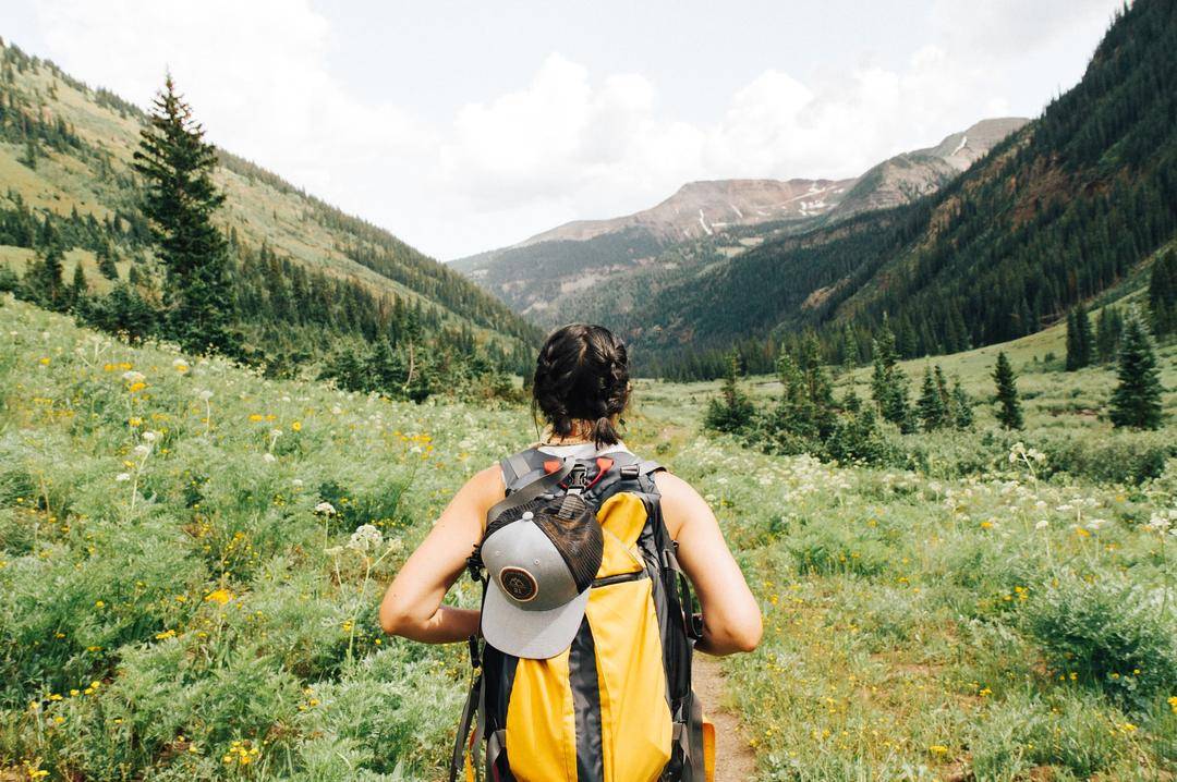 Unsplash.com/Holly Mandarich