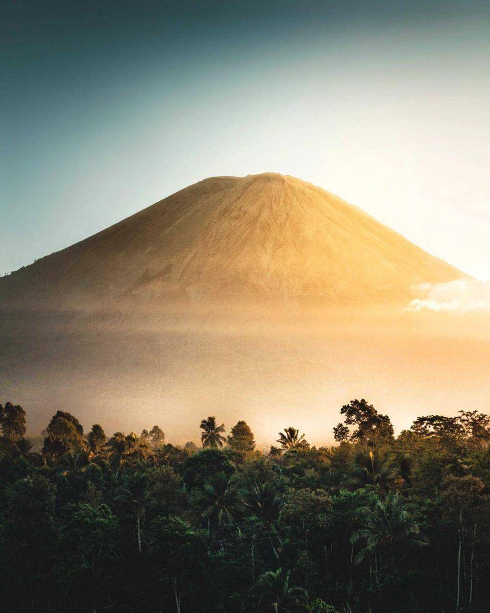 Unsplash.com/Dwinanda Nurhanif Mujito