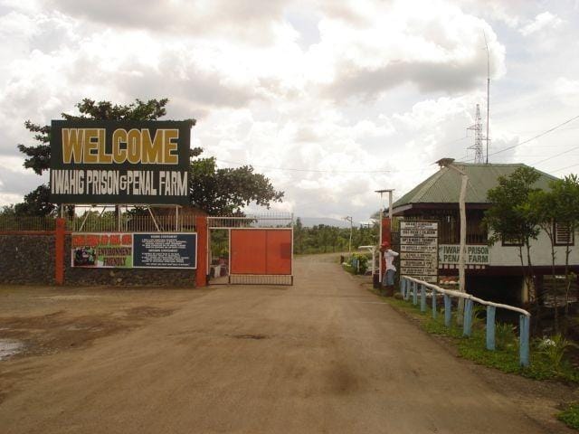 Commons.wikimedia.org/Ringer