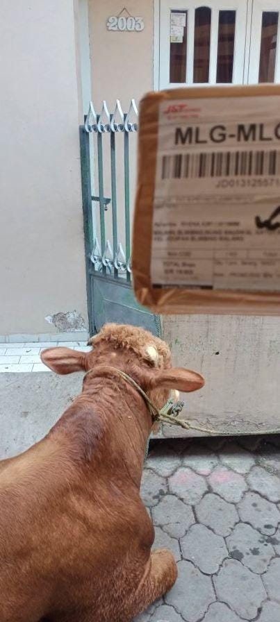 Twitter.com/txtdrikurir