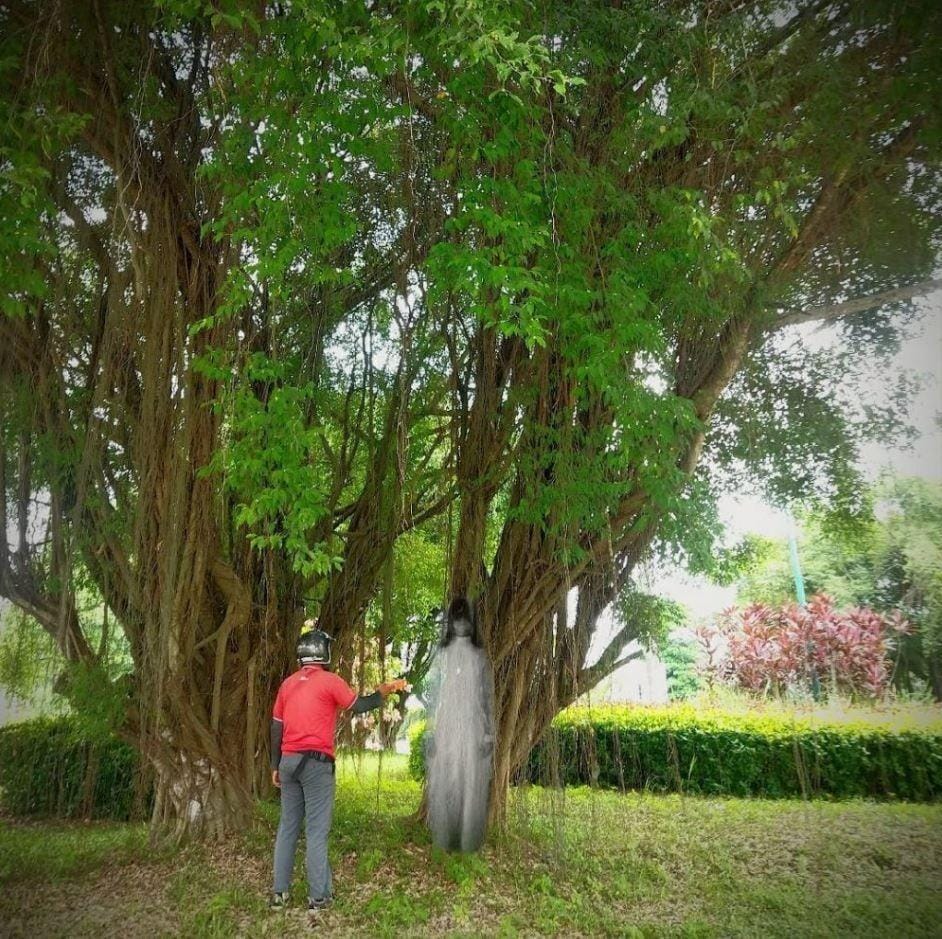 Twitter.com/txtdrikurir