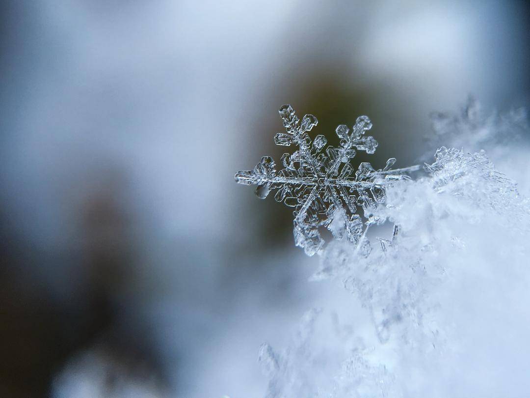 Unsplash.com/Aaron Burden