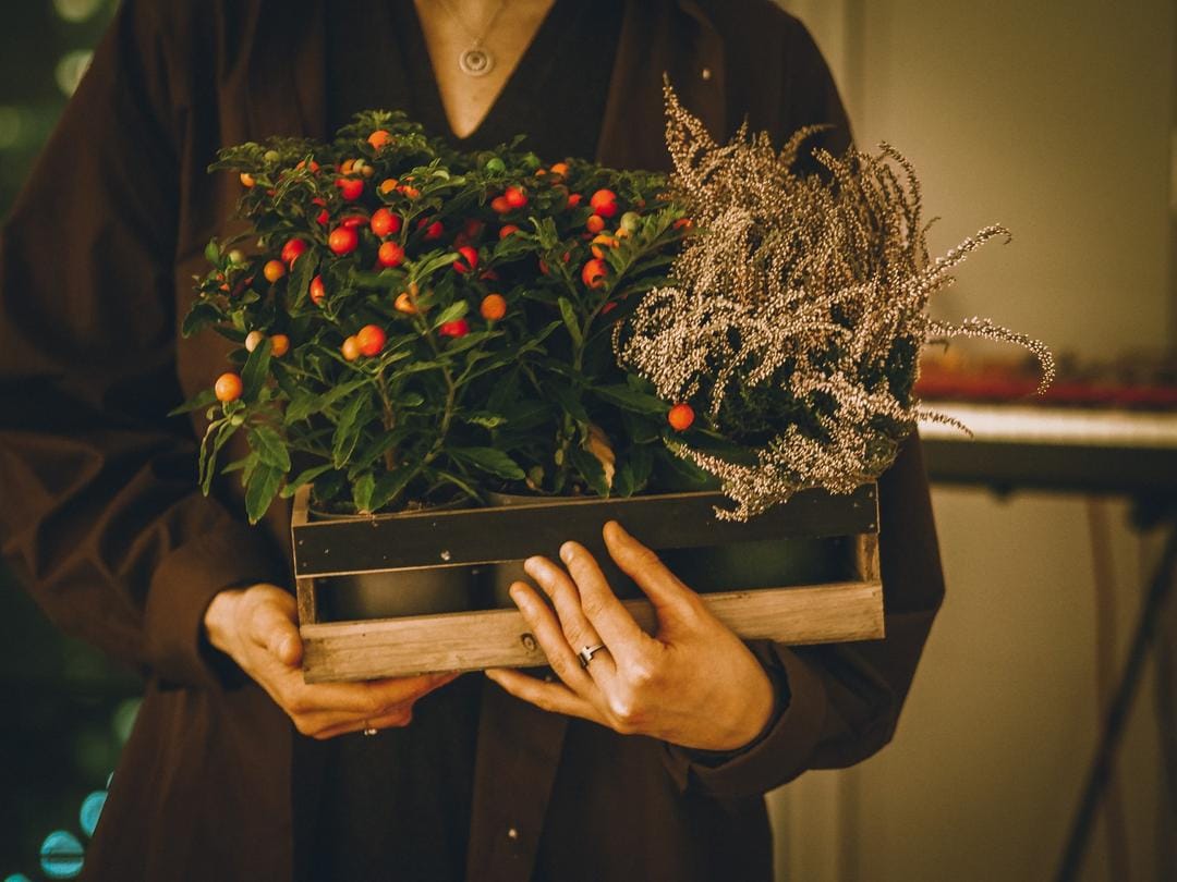 Unsplash.com/Liza Pooor