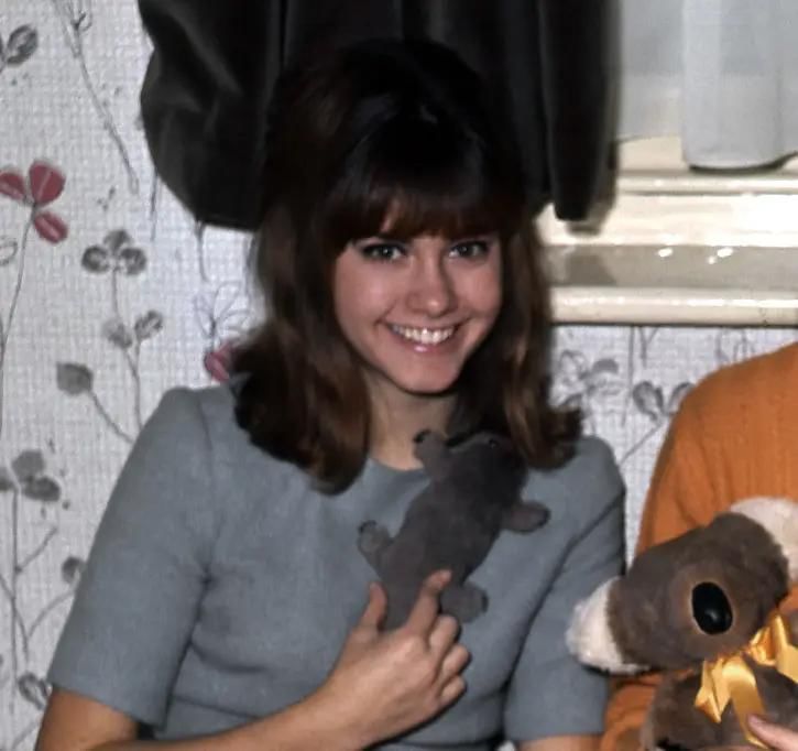 Michael Ochs Archives / Getty Images