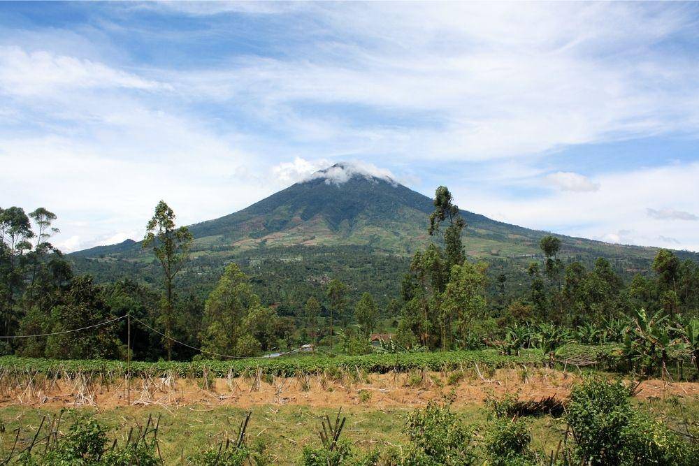 wikipedia.org/wiki/Gunung_Cikuray