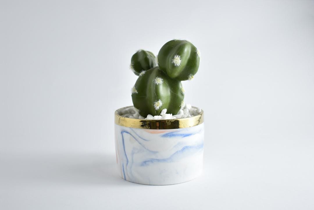 Unsplash.com/Mahmoud Wally