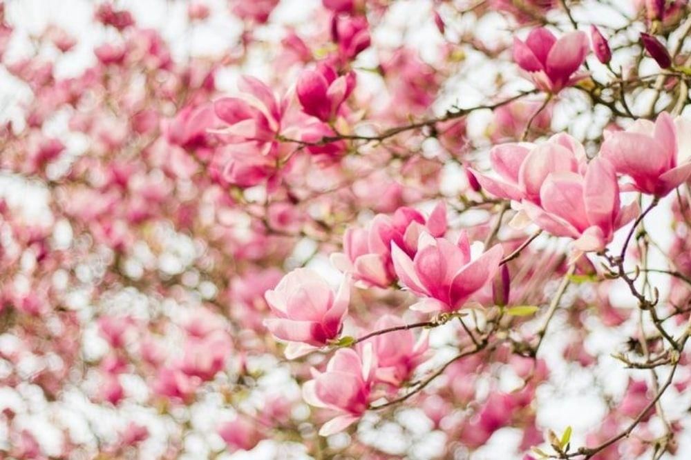 Unsplash/Danielle Comer