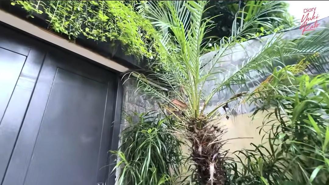 youtube.com/yukikato