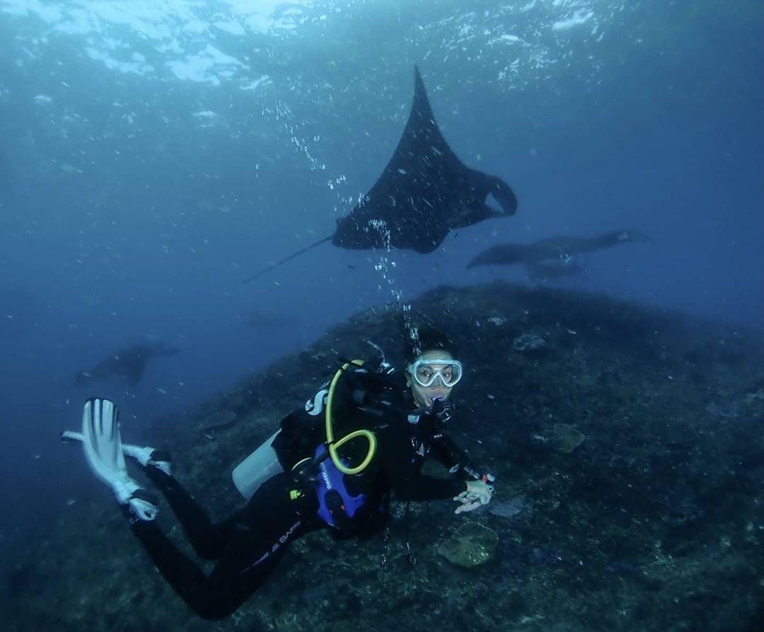 instagram.com/lunamaya