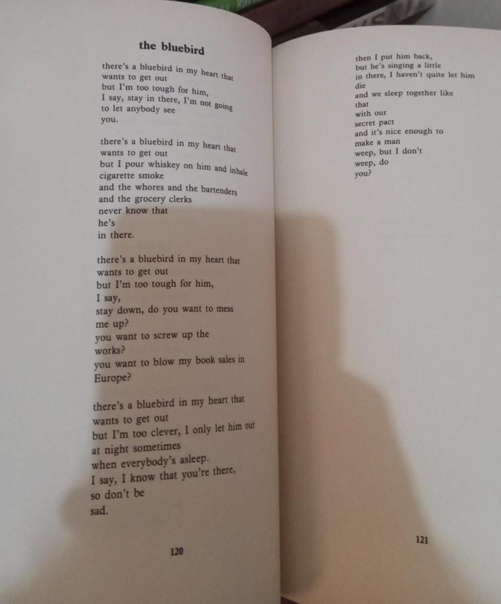 Twitter.com/Hmzhmhmmdlghz