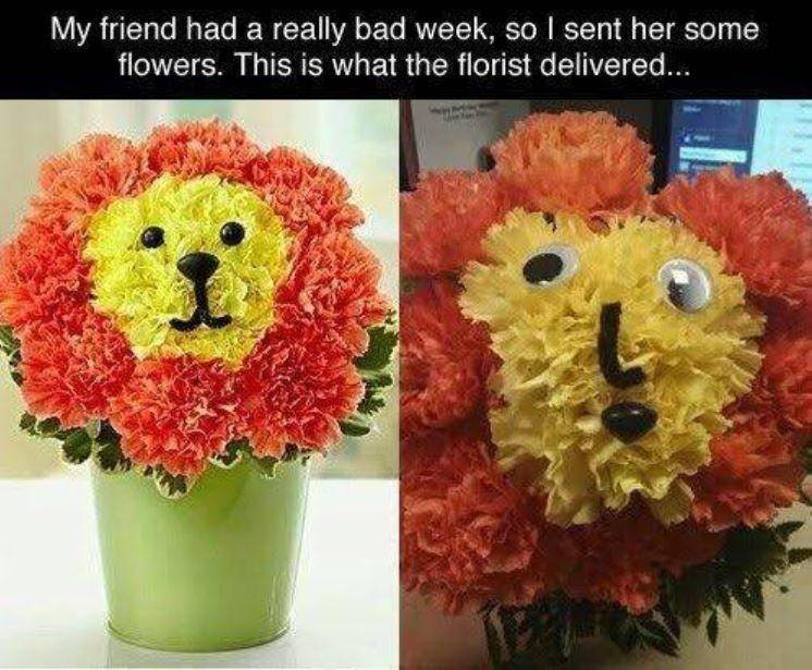 Reddit.com/ka_paw