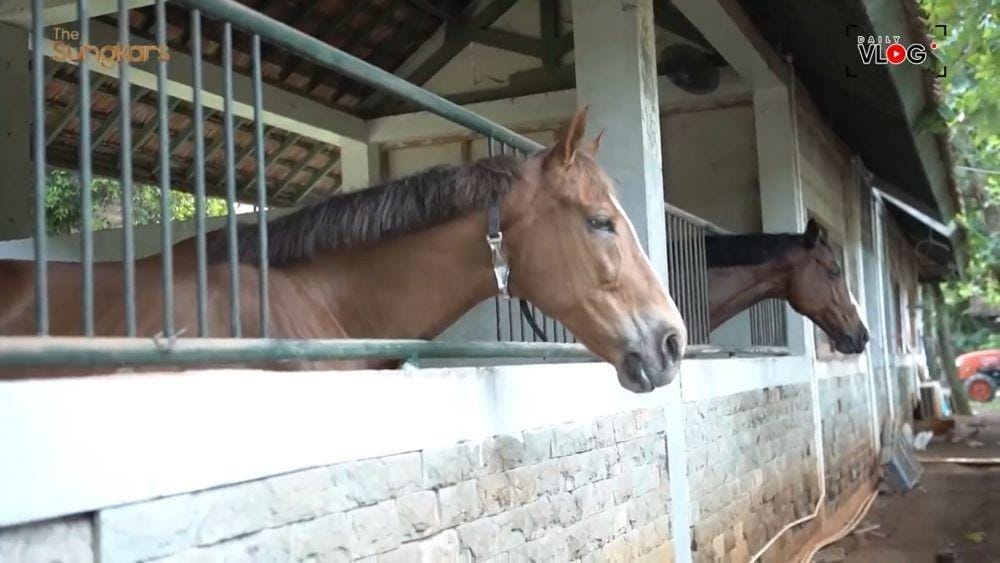 YouTube.com/The Sungkars